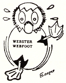 websterwebfoot